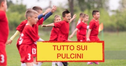 Iniziata Attività dei PULCINI